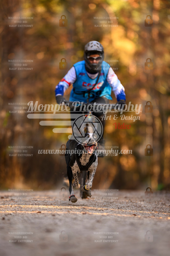 MompixPhotography_DM_AKDM_SO_2025_Bike-159 | PayLife