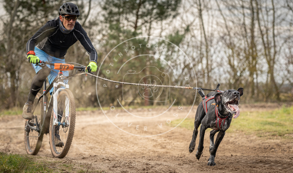 Pfotenfotografie_DV3A7142 | Hundefotografie, Tierfotograf, Pfotenfotografie, Fotoshooting Hund, Hunde Portrait, Hundesport, Hundeportraits, Heideshooting, Hunde, Sportfotograf, Hundefotograf, Turnierhundsport, THS,  - Realisiert mit Pictrs.com