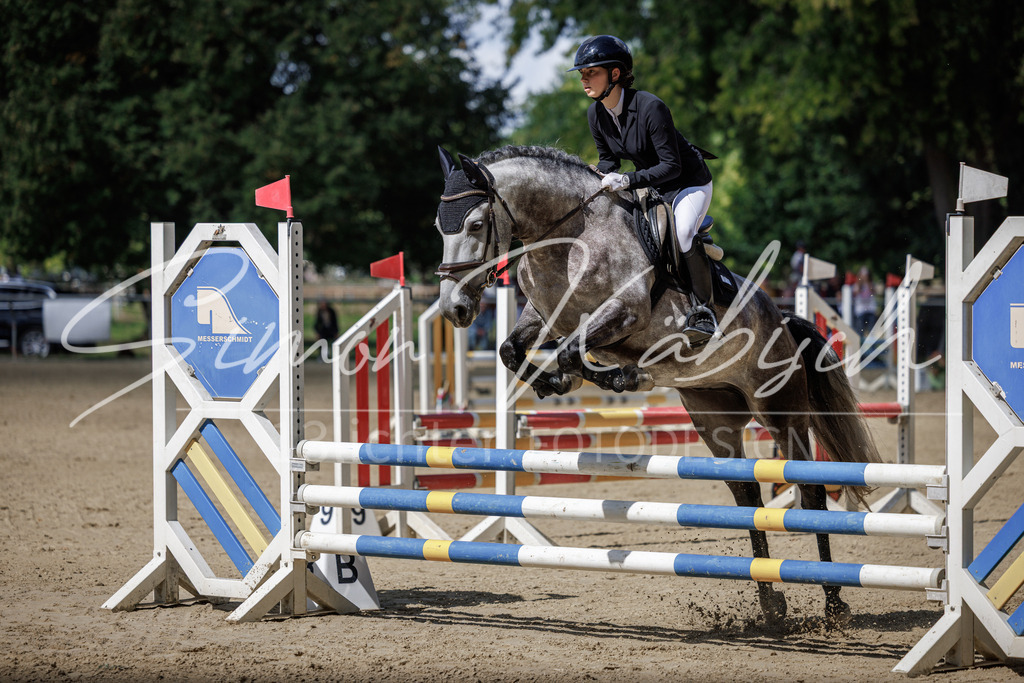 20260905-_3LI8479 | Tierfotografie Pferde, Hunde, Katzen, Haustiere.
Turnierfotografie Reitturniere, Reiten, Springreiten, Dressur in Hanau, dem Main-Kinzig-Kreis und dem Rhein-Main- Gebiet um Frankfurt
