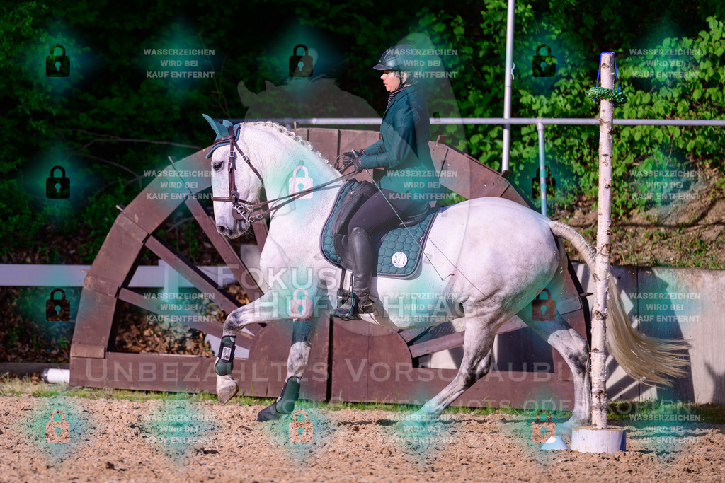 02052026-Giesenbach-03-Speedtrail-0630 | Fokus Hufschlag Fotografie - Realisiert mit Pictrs.com