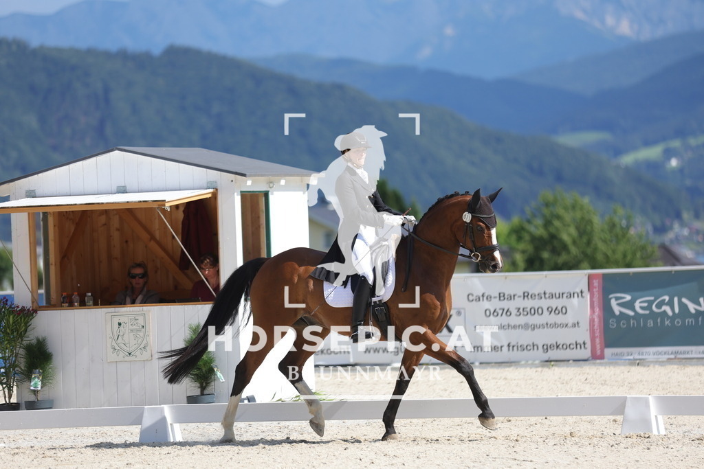 0P6A2277 | Willkommen bei Brunnmayr - Design & Fotografie – Ihrem Spezialisten für Reitturniere und Pferdeveranstaltungen in Oberösterreich, Salzburg und Bayern! Seit über 17 Jahren sind wir leidenschaftlich dabei.