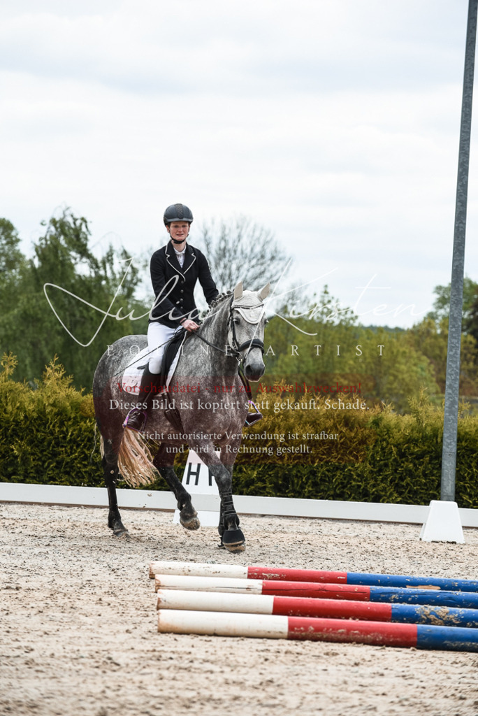 20230518_JK-Röhrsdorf-10-398 | Pferde- und Turnierfotografie in Westsachsen. Pferdeportraits, Auftragszeichnungen und intuitive Kunst.