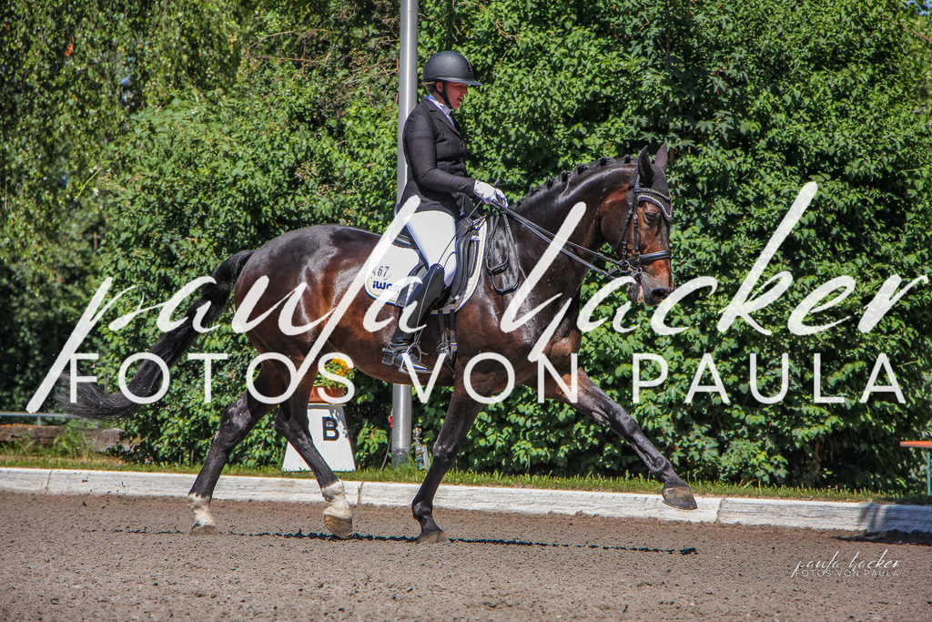 IMG_0627 | Erleben Sie dynamische Sport- und emotionale Tierfotografie in Süddeutschland mit Fotos von Paula. Spezialisiert auf Pferde- und Hundefotografie sowie Sportevents. Kontaktieren Sie mich für einzigartige und ausdrucksstarke Bilder Ihrer besonderen Momente. - Realisiert mit Pictrs.com