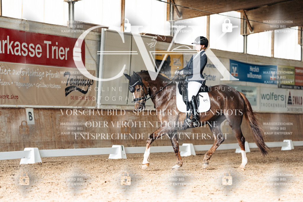 CK902726 | Turnierfotografie Pferdefotografie Trier Rheinland-Pfalz Pferdesport Reitsport Tierfotografie Sportfotografie Pferdevideo Pferdevideografie Equestrianvideography equestrianphotography  - Realisiert mit Pictrs.com