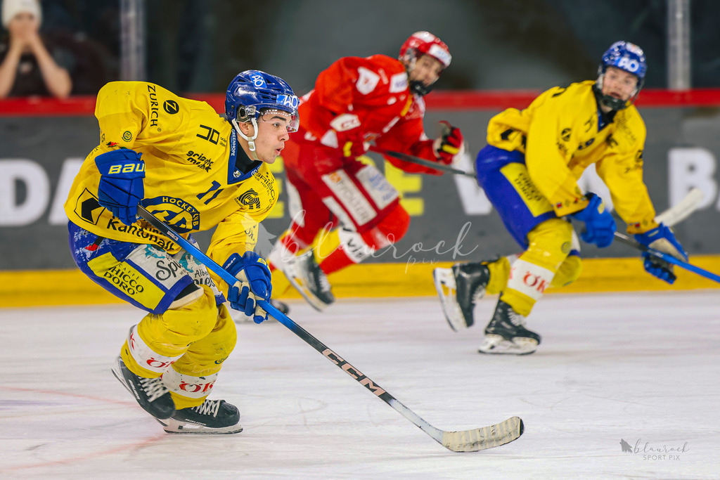 U21_EHCB vs HCD_wb20260308-0541 | Sportbilder, Sportfotograf, Hochzeits- und Eventfotografin, Flugshows, Portraits und Tiershooting, Aviation, Downhill, Nationalleague, Swissleague, International