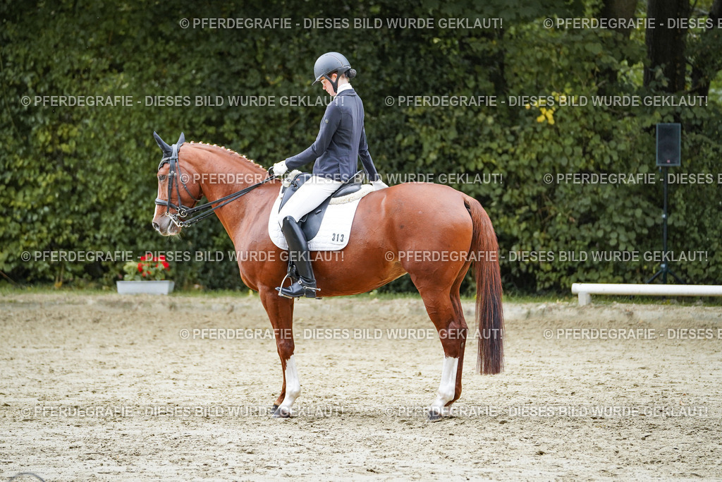 DSC00762 | Pferdegrafie