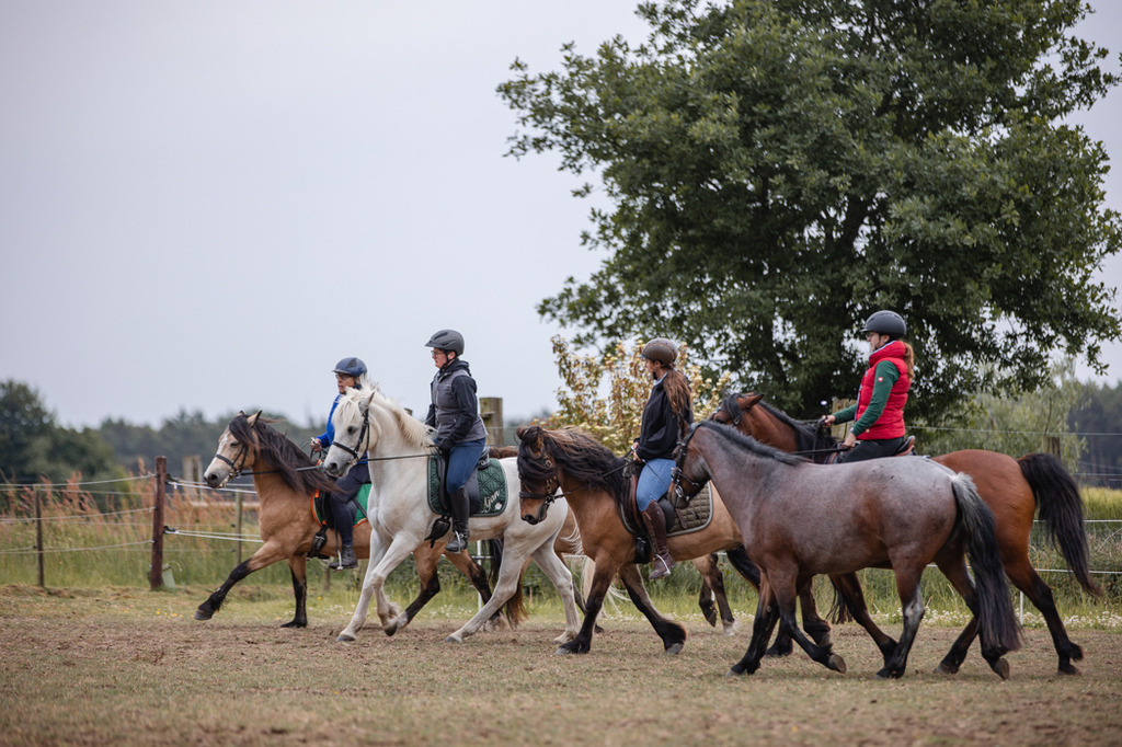 846A0300 | fotosleben - Realisiert mit Pictrs.com
