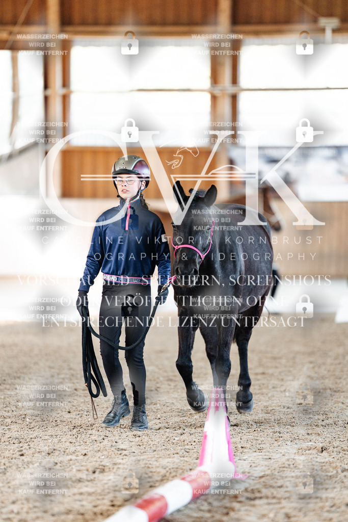 CK905984 | Turnierfotografie Pferdefotografie Trier Rheinland-Pfalz Pferdesport Reitsport Tierfotografie Sportfotografie Pferdevideo Pferdevideografie Equestrianvideography equestrianphotography  - Realisiert mit Pictrs.com