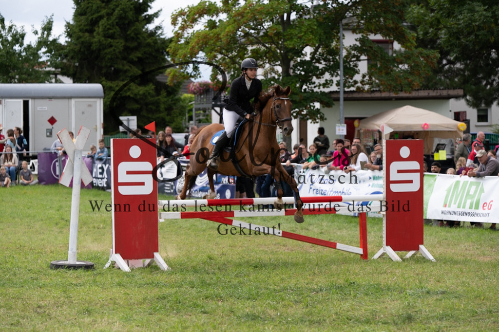 A7V05900 | Pferdefotograf