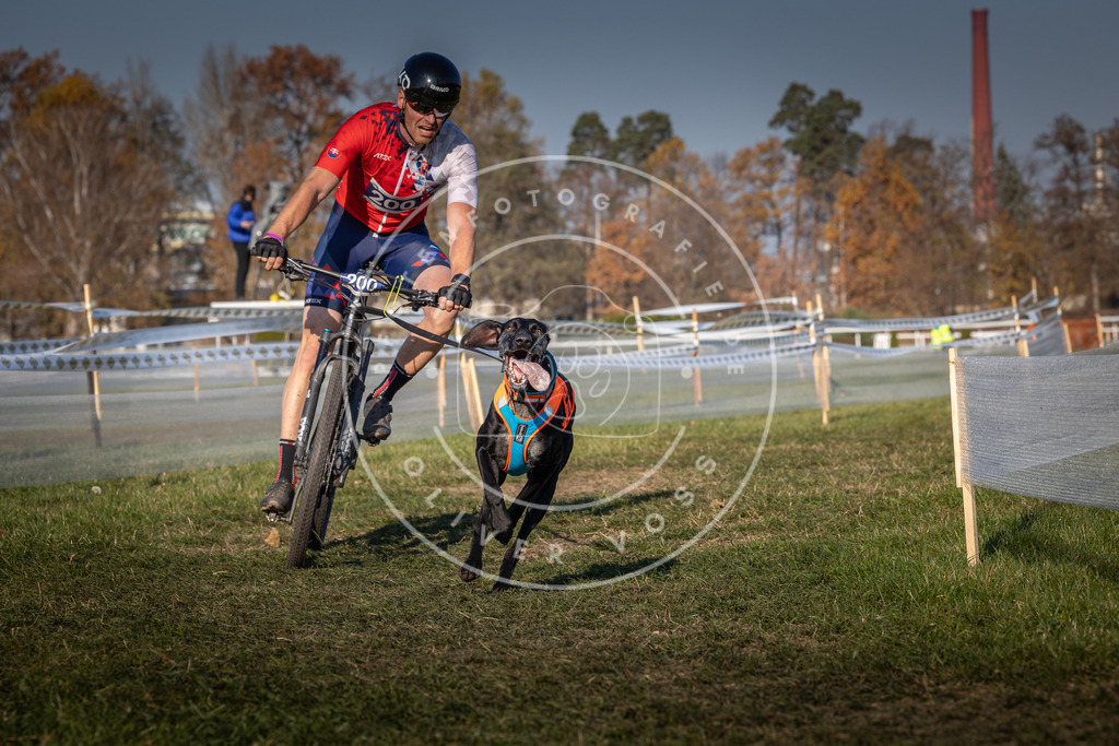CaniXpix_0L8A5992 | Hundefotografie, Tierfotograf, Pfotenfotografie, Fotoshooting Hund, Hunde Portrait, Hundesport, Hundeportraits, Heideshooting, Hunde, Sportfotograf, Hundefotograf, Turnierhundsport, THS,  - Realisiert mit Pictrs.com