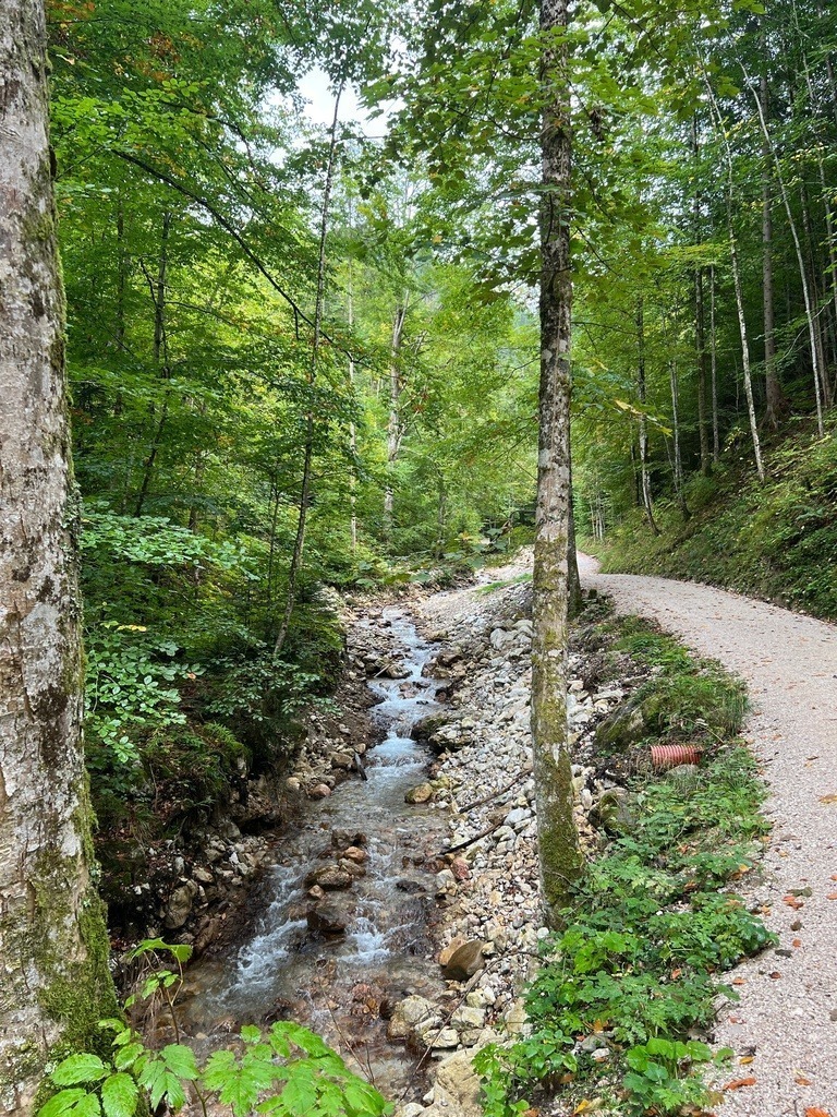 IMG_8604 | ace - Realisiert mit Pictrs.com