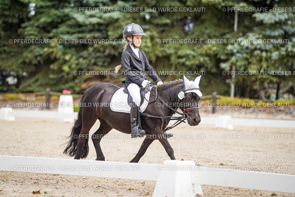 DSC02805 | Pferdegrafie