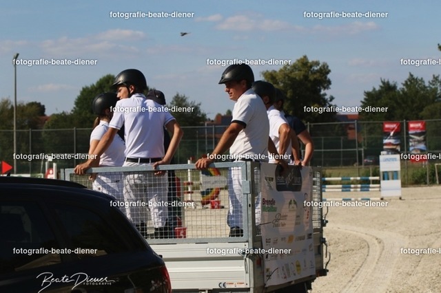 OHT 2022 Röhlingen (19) | Fotografie, Tiere, Hunde, Katzen, Pferde, Sportfotografie, Fotosession, Tierfotografie, Turnierfotografie, Fotografin, Fotograf - Realisiert mit Pictrs.com