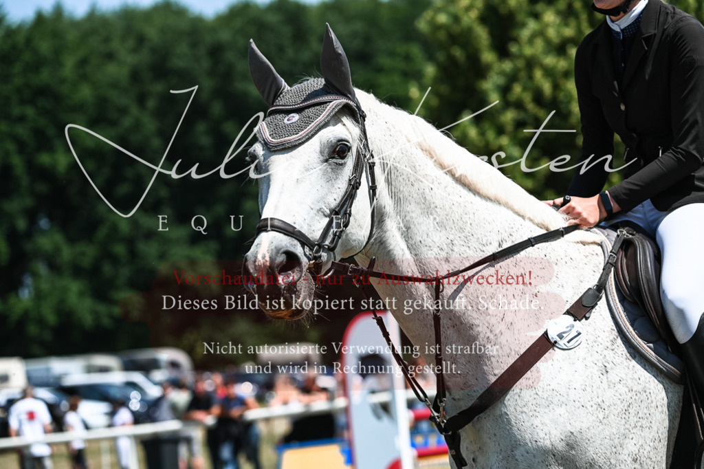 DSC_0249 | Pferde- und Turnierfotografie in Westsachsen. Pferdeportraits, Auftragszeichnungen und intuitive Kunst.