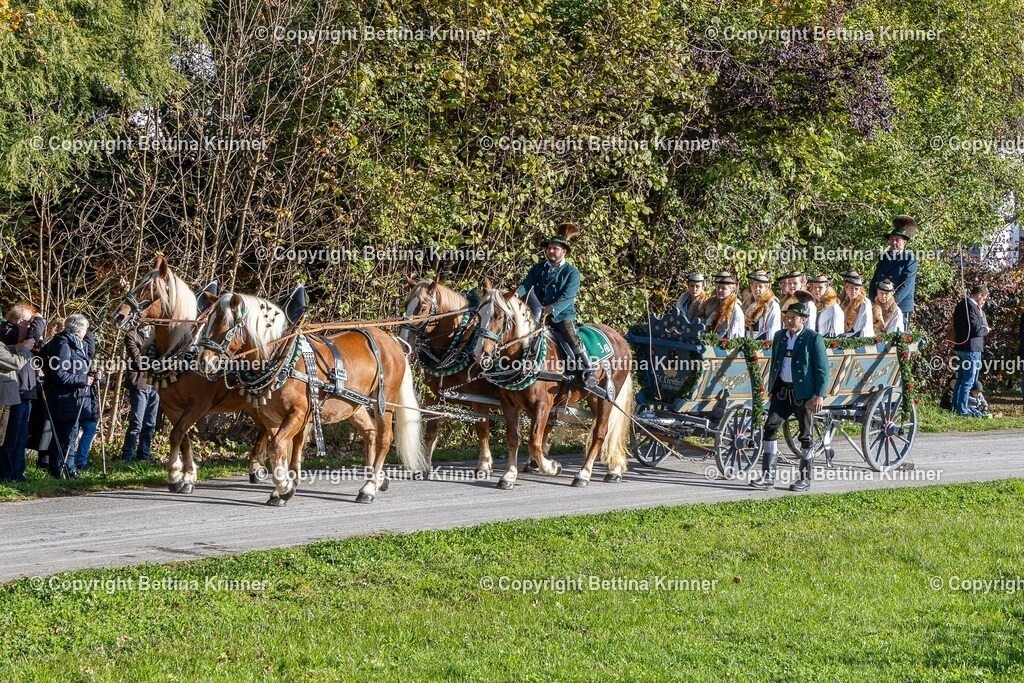 LBT24-290 | foto-bettina-krinner - Realisiert mit Pictrs.com