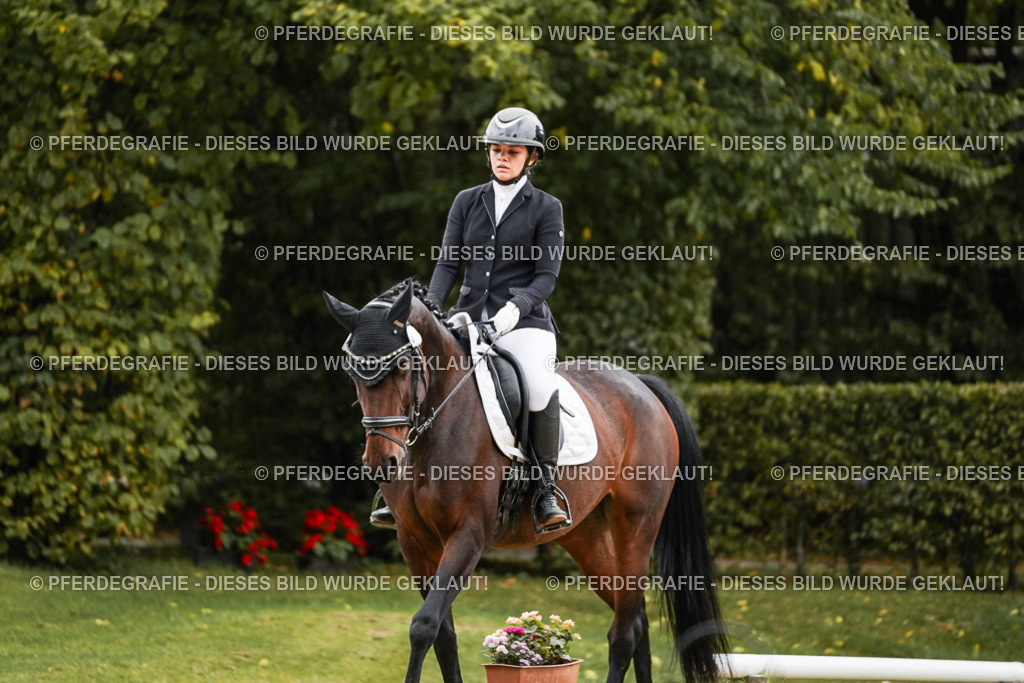 DSC07026 | Pferdegrafie