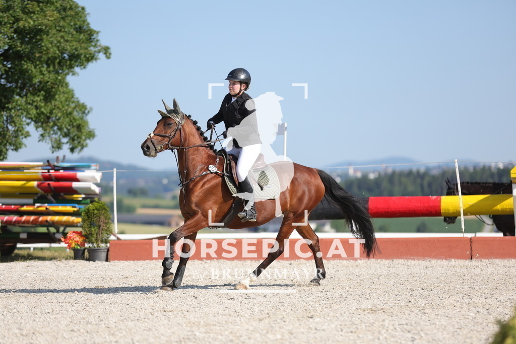 0P6A7160 | Willkommen bei Brunnmayr - Design & Fotografie – Ihrem Spezialisten für Reitturniere und Pferdeveranstaltungen in Oberösterreich, Salzburg und Bayern! Seit über 17 Jahren sind wir leidenschaftlich dabei.