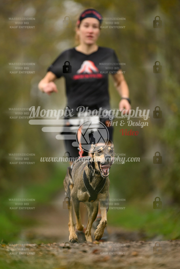 MompixPhotography_20TSB_E6_Run-71 | PayLife