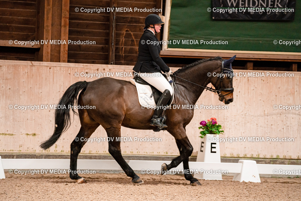 Dressur Tag 2-73 | dv-media-shop - Realisiert mit Pictrs.com