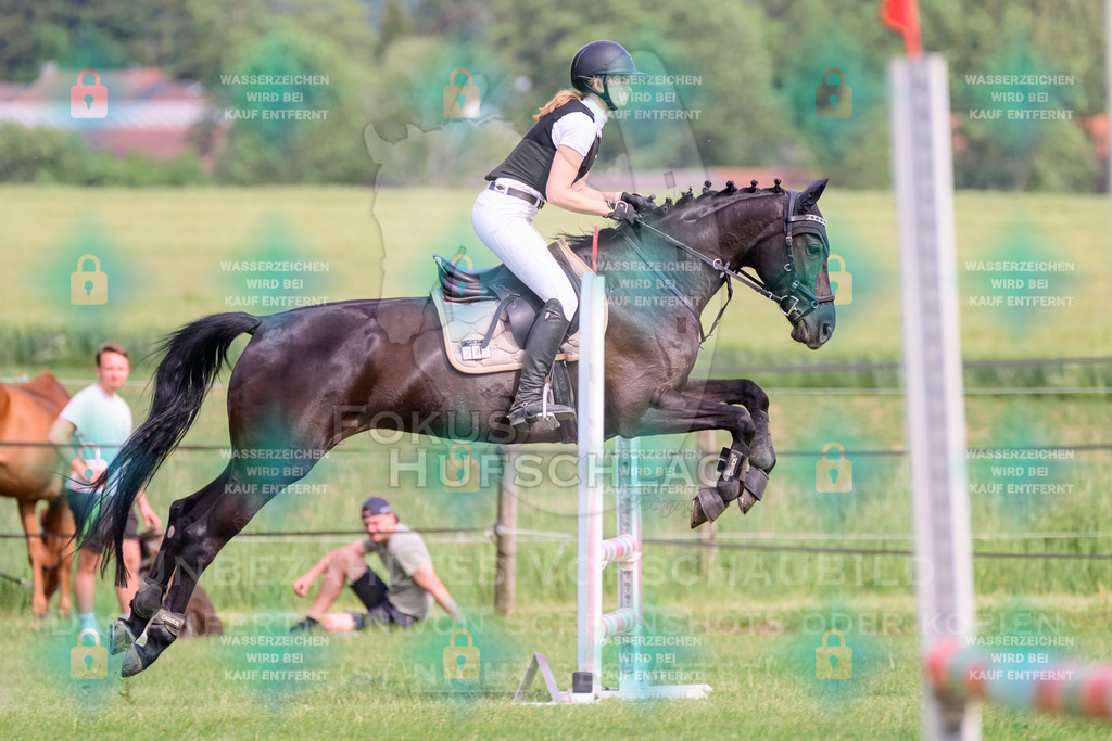 30052026-Forstinning-Prfg20-0386 | Fokus Hufschlag Fotografie - Realisiert mit Pictrs.com