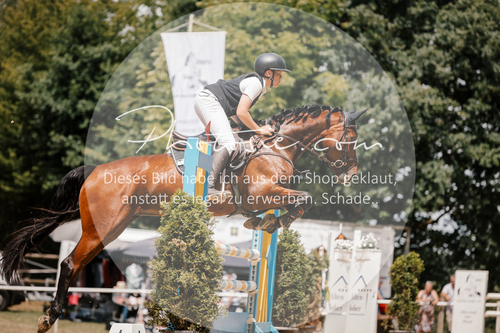 3I6A7965 | Stimmungsvolle Portraits und Reitsportfotografie im Ruhrgebiet und im Münsterland.

Pferdefotografie, Hundefotografie, Tierfotografie, Reportagen, Portraits von Tier und Mensch, Turnierfotografie in Bochum, Recklinghausen, Marl, Haltern am See, Dülmen.. - Realisiert mit Pictrs.com
