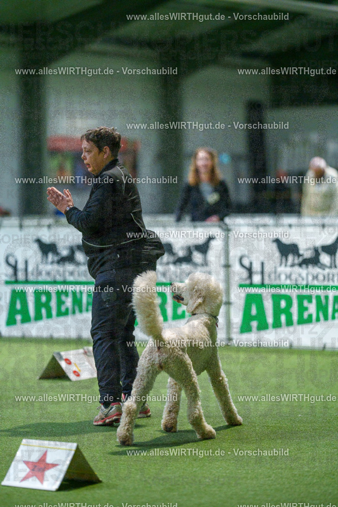 7R505581 | Professionelle Tierfotografie in Mönchengladbach von Daniel Wirth (allesWIRTHgut). Liebevolle & natürliche Bilder von Hunden & Katzen für unvergessliche Erinnerungen.