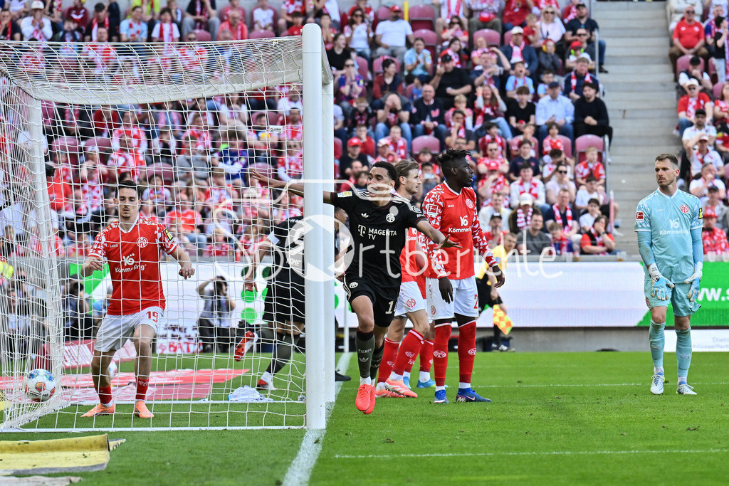1. FSV Mainz 05 - FC Bayern München | MAINZ, GERMANY - 25. APRIL: Jubel der Bayern nach dem Treffer zum 3-3 Ausgleich durch Jamal MUSIALA (FC Bayern Munich 10) / Tor / Torschuetze / Freude / Happy während dem Bundesligamatch zwischen dem 1. FSV Mainz 05 und dem FC Bayern München am 31. Spieltag in der MEWA Arena / DFL REGULATIONS PROHIBIT ANY USE OF PHOTOGRAPHS AS IMAGE SEQUENCES AND/OR QUASI-VIDEO
