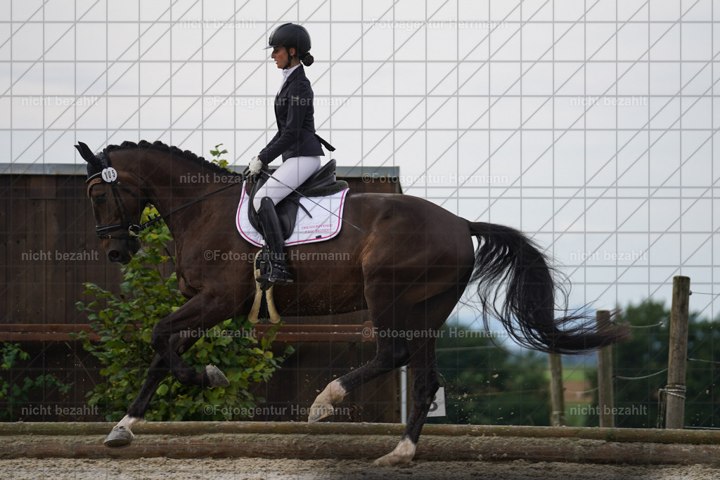 20230826-FAH04471 | Forstinning, 2023, Dressurturnier, Turniersportbilder, Turnierfotografen Bayern, Fotoagentur Herrmann, Reitsportfotografie, Turnierbilder