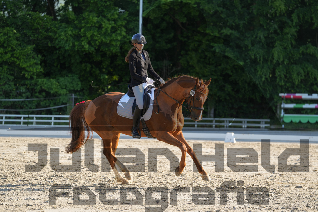 DSC02662 | Julian Held Fotografie - Realisiert mit Pictrs.com