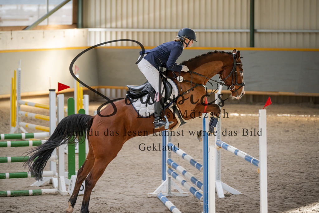 A7V02247 | Pferdefotograf