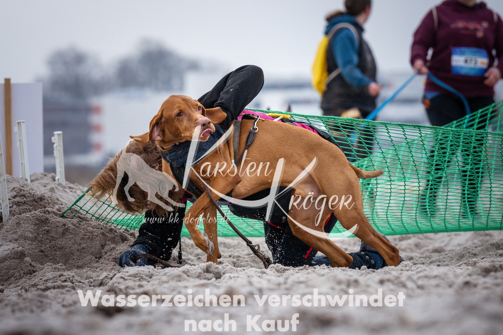 1219_ZZ93547 | kk-dogfotos