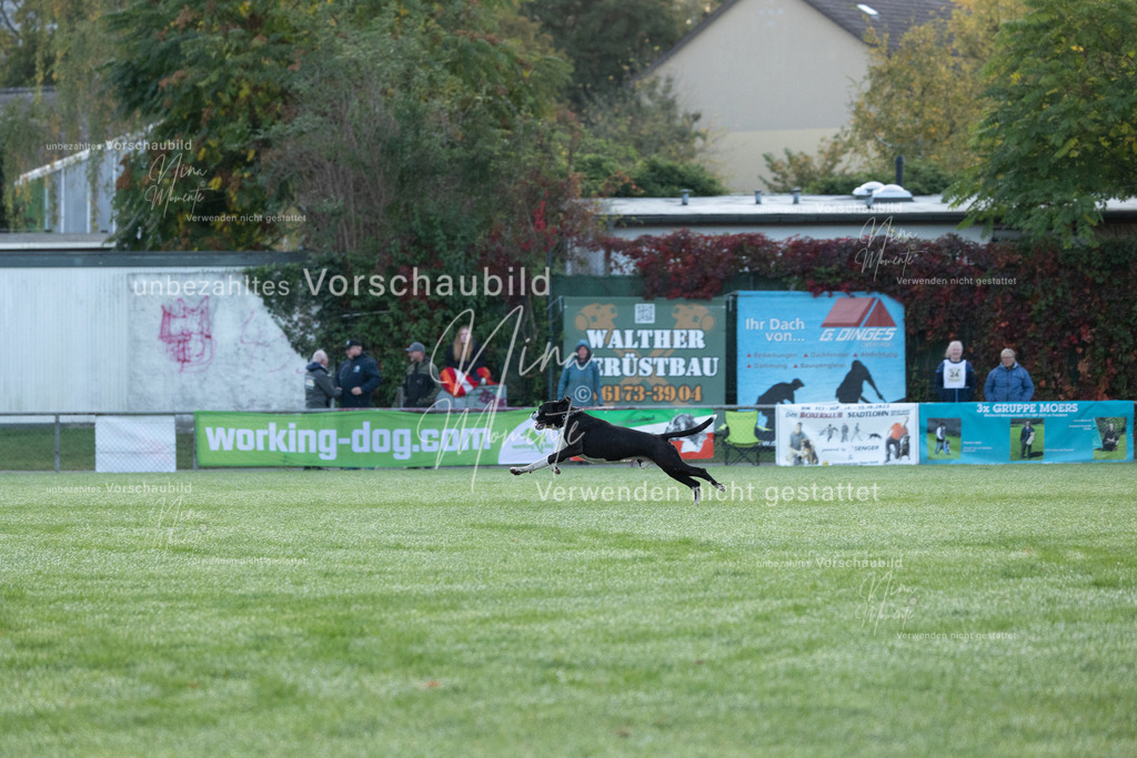 _16A5767 | Einzigartige Fotos von Hunden & Menschen –Actionfotos, Portraits, Vereinsaufnahmen & Paarshootings – authentisch, lebendig & mit Herz.