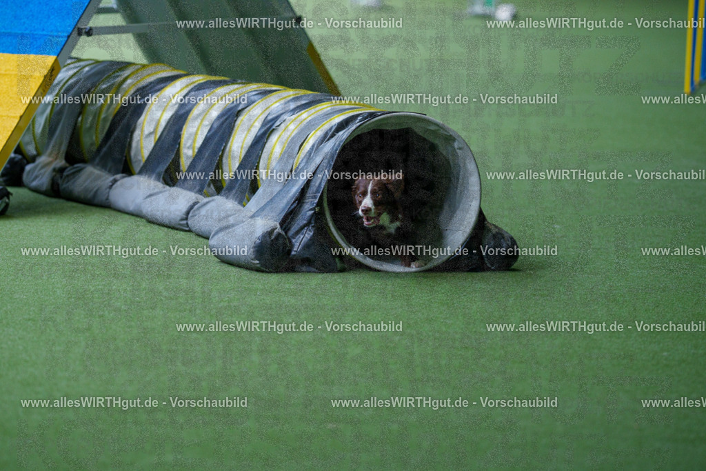 @allesWIRTHgut_Tierfotografie - www.allesWIRTHgut.de - 2604251216-7R501213 | Professionelle Tierfotografie in Mönchengladbach von Daniel Wirth (allesWIRTHgut). Liebevolle & natürliche Bilder von Hunden & Katzen für unvergessliche Erinnerungen.