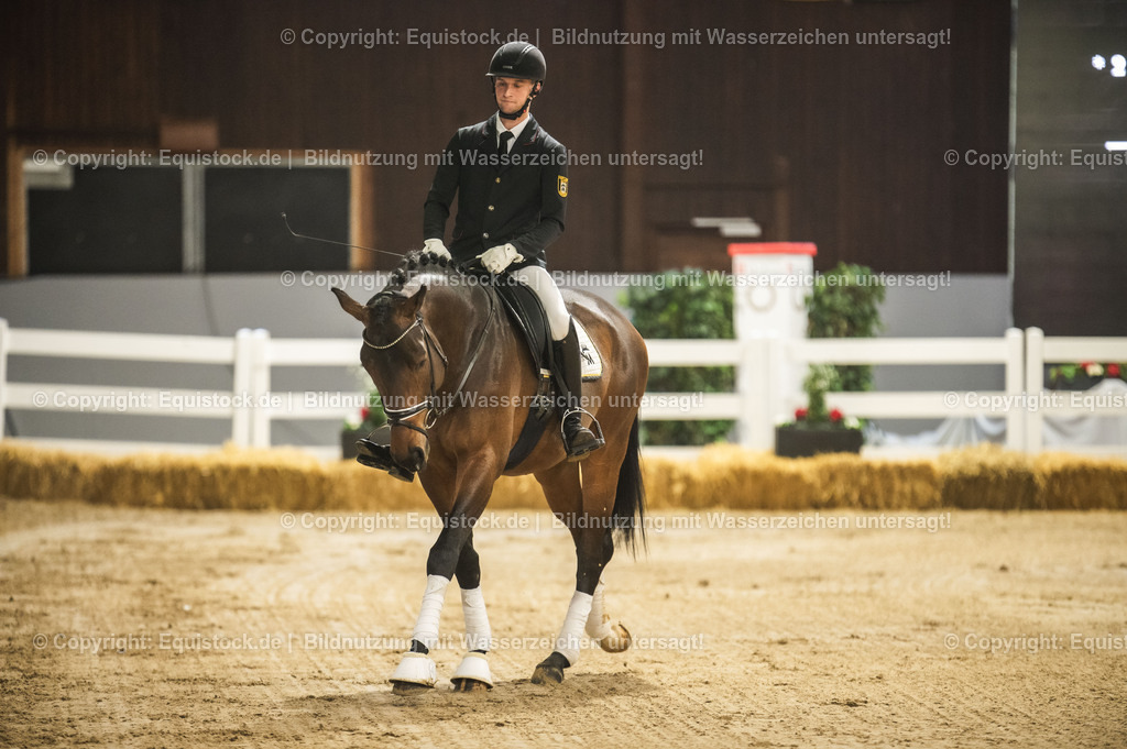 20240302_Hengstvorstellung_Marbach_TOMsPiC_0149 | equistock