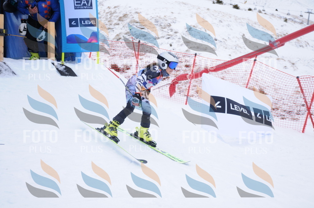 DSC_7615 | holidayphoto