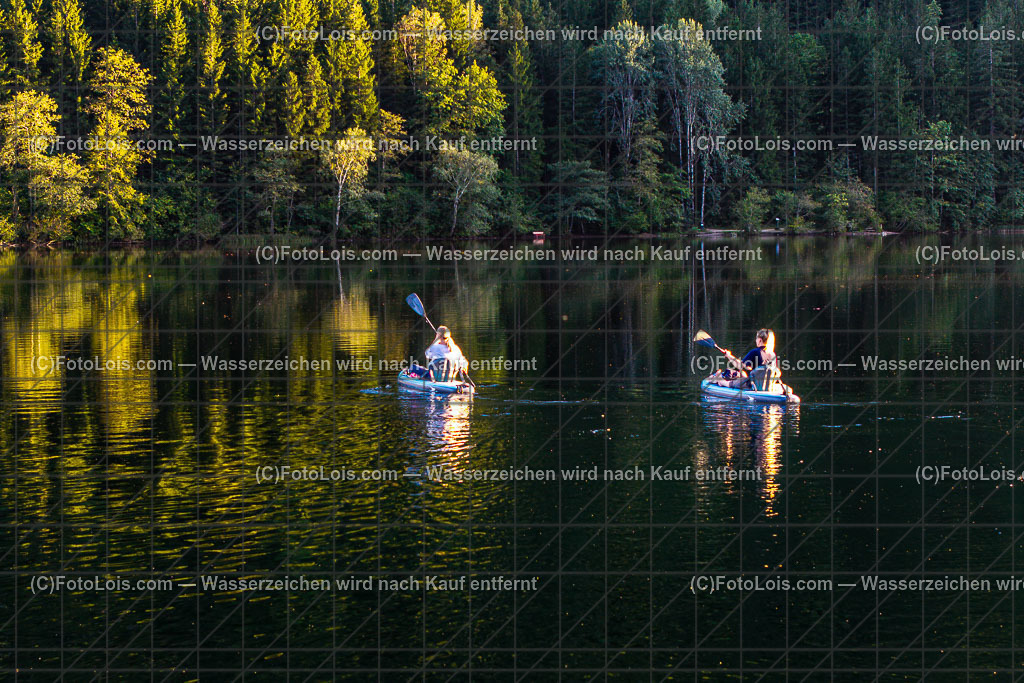 2902_Luftbild_Lunzer See | Luftbild Lunzer See, Mo 15. September 2025