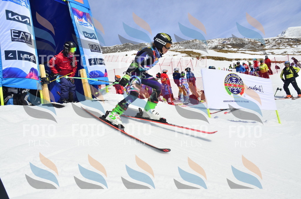 _ELE1446 | holidayphoto