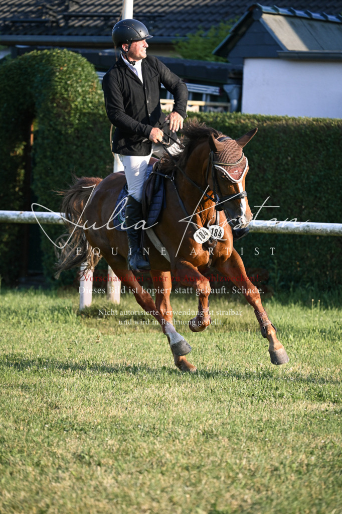 DSC_1961 | Pferde- und Turnierfotografie in Westsachsen. Pferdeportraits, Auftragszeichnungen und intuitive Kunst.