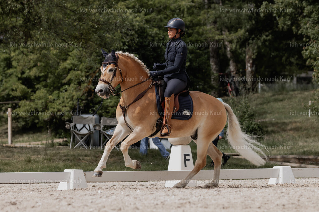 WE_DR_Stoib_308_PI2025_243 | Pferd International München 2025