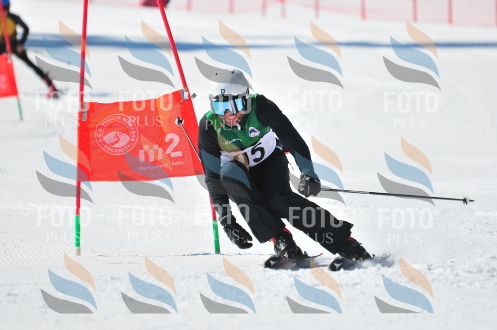 C3315 | holidayphoto