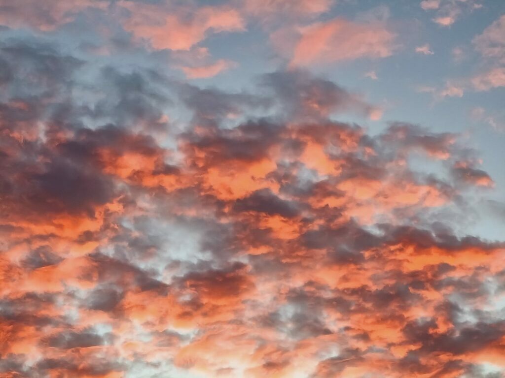 PSX_20221027_214637 | mtkfoto_ - Realisiert mit Pictrs.com