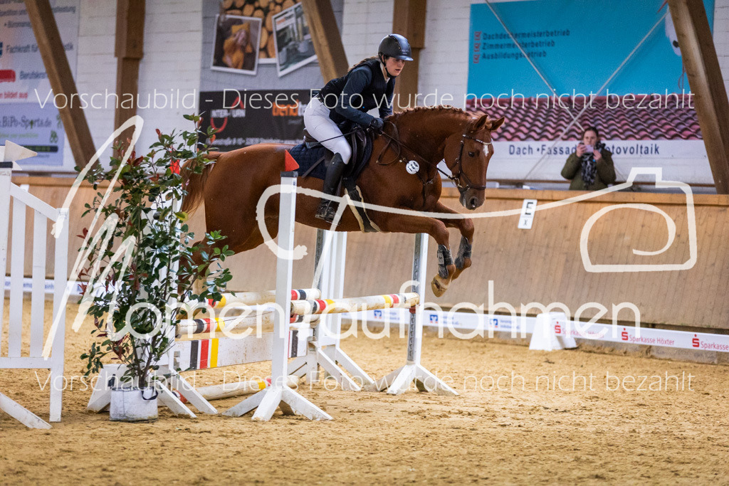 Sth-KombDreSpr-104 | MomenTaufnahmen Pferdesportfotos