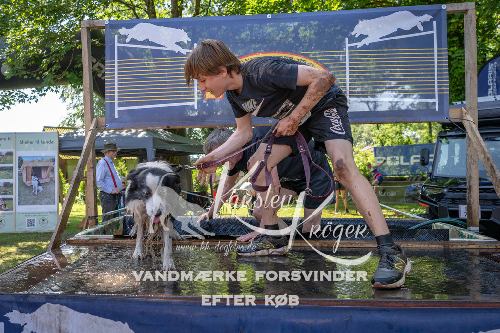 1358_ZZ93096 | kk-dogfotos