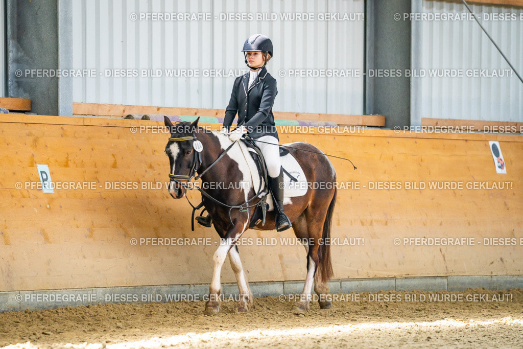 DSC03408 | Pferdegrafie