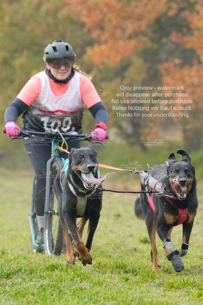 AusschnitteSa-198 | stephaniefillaphotographie - Realisiert mit Pictrs.com