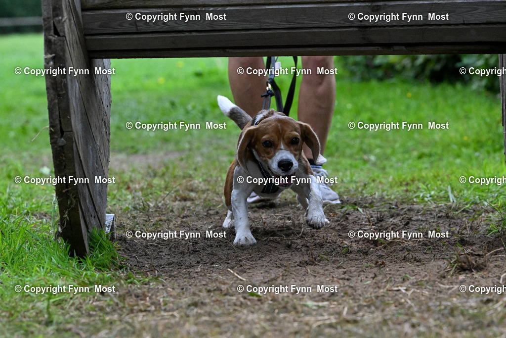 DSC_0924 | Hallo und herzlich Willkommen auf meiner Shop-Seite Fynn Most.

Ich wünsche Dir viel Spaß beim stöbern durch die Bilder, wenn Du Fragen hast oder Bilder vermisst, kannst du mir gerne eine Nachricht schreiben. - Realisiert mit Pictrs.com