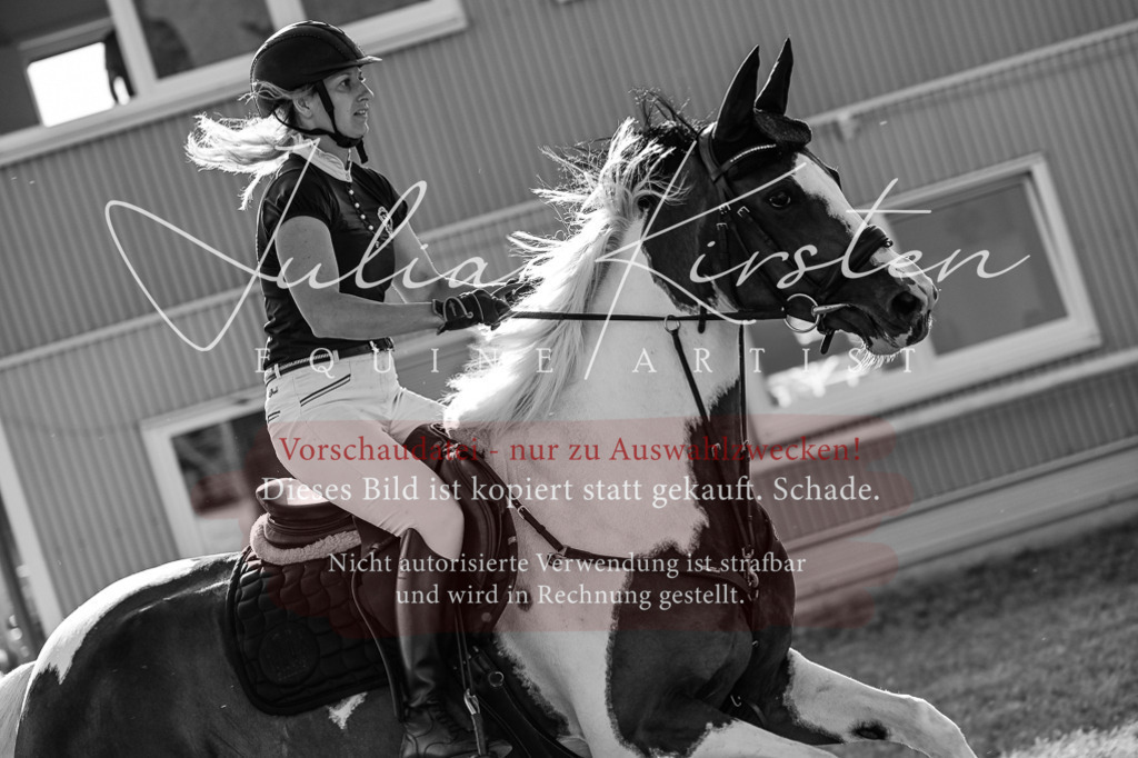 DSC_2856 | Pferde- und Turnierfotografie in Westsachsen. Pferdeportraits, Auftragszeichnungen und intuitive Kunst.