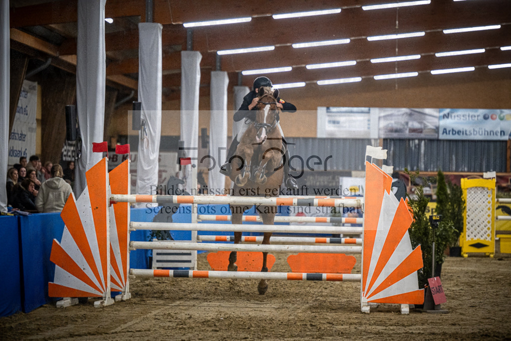 DOS_0717 | Entdecke hochwertige Reitturnierfotos von Foto Oger. Professionell, emotional und authentisch – jetzt Lieblingsmomente im Shop bestellen.Deutschlandweite Turnierfotografie. - Realisiert mit Pictrs.com