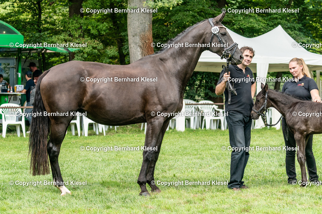 A9S03621 | foto-team-bernhard - Realisiert mit Pictrs.com