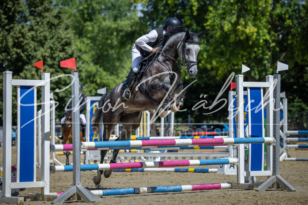 20260704-_3LI8011 | Tierfotografie Pferde, Hunde, Katzen, Haustiere.
Turnierfotografie Reitturniere, Reiten, Springreiten, Dressur in Hanau, dem Main-Kinzig-Kreis und dem Rhein-Main- Gebiet um Frankfurt